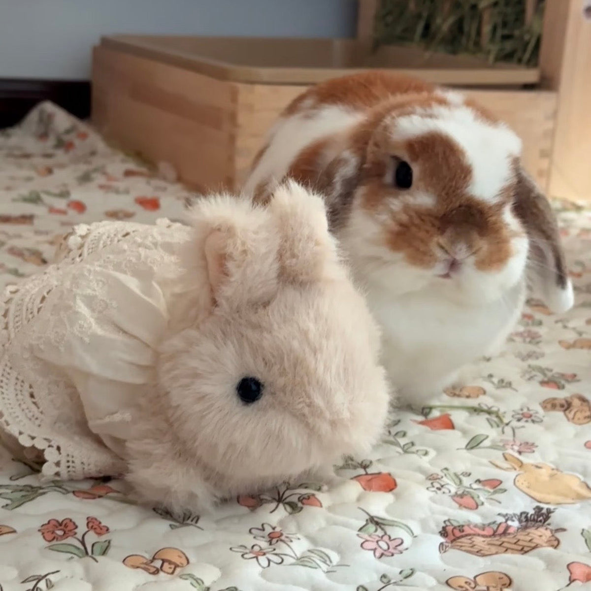 Handmade Bunny Plushie