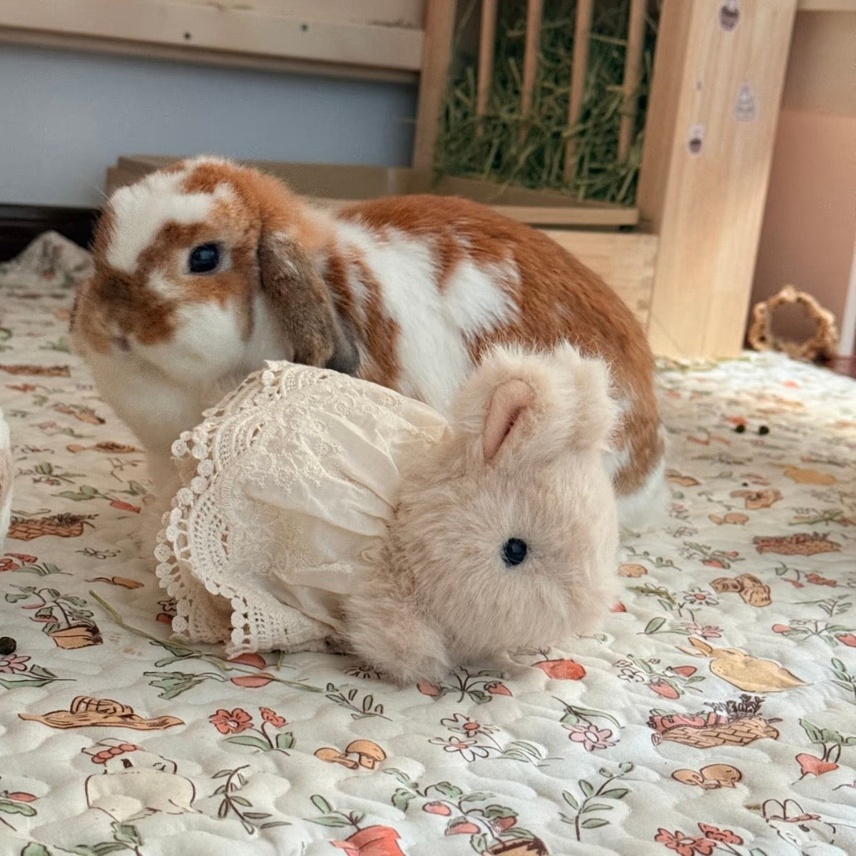 Handmade Bunny Plushie