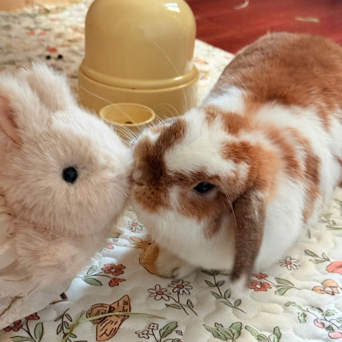 Handmade Bunny Plushie