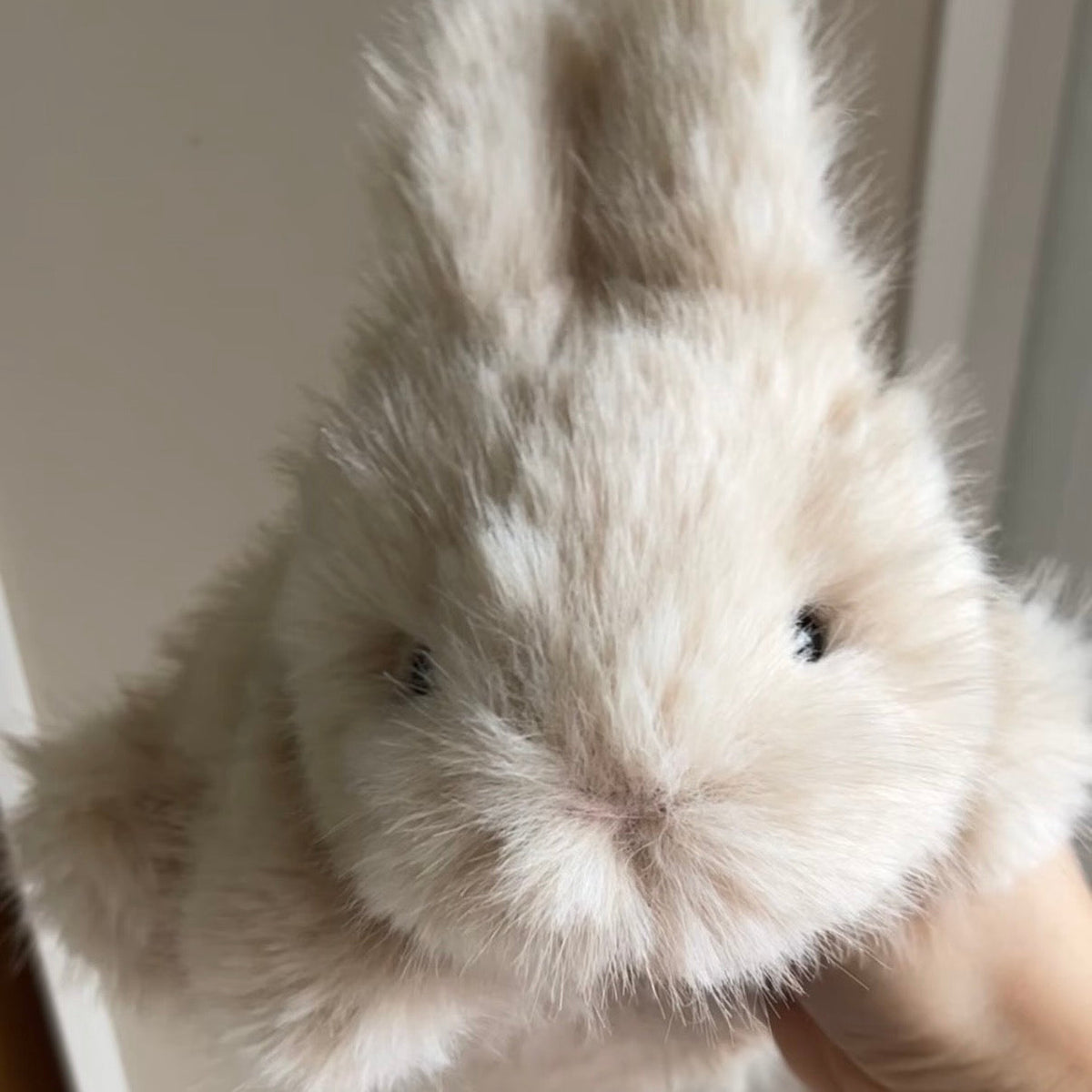 Handmade Bunny Plushie