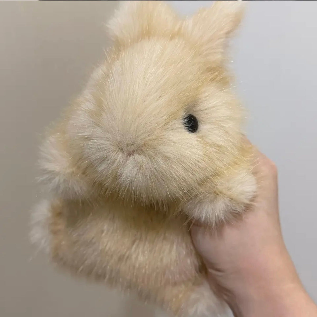 Handmade Bunny Plushie