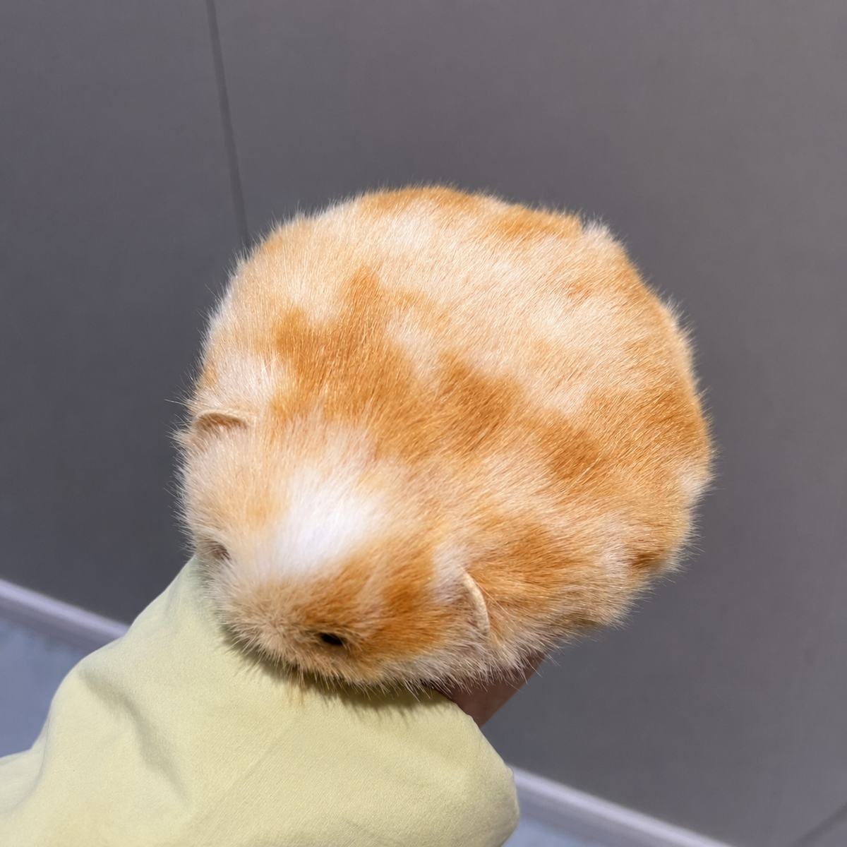 Handmade Lifelike Hamster Plushie