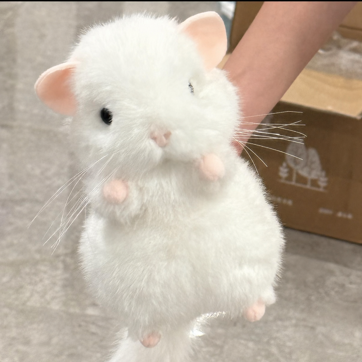 Chubby Chinchilla Plushie