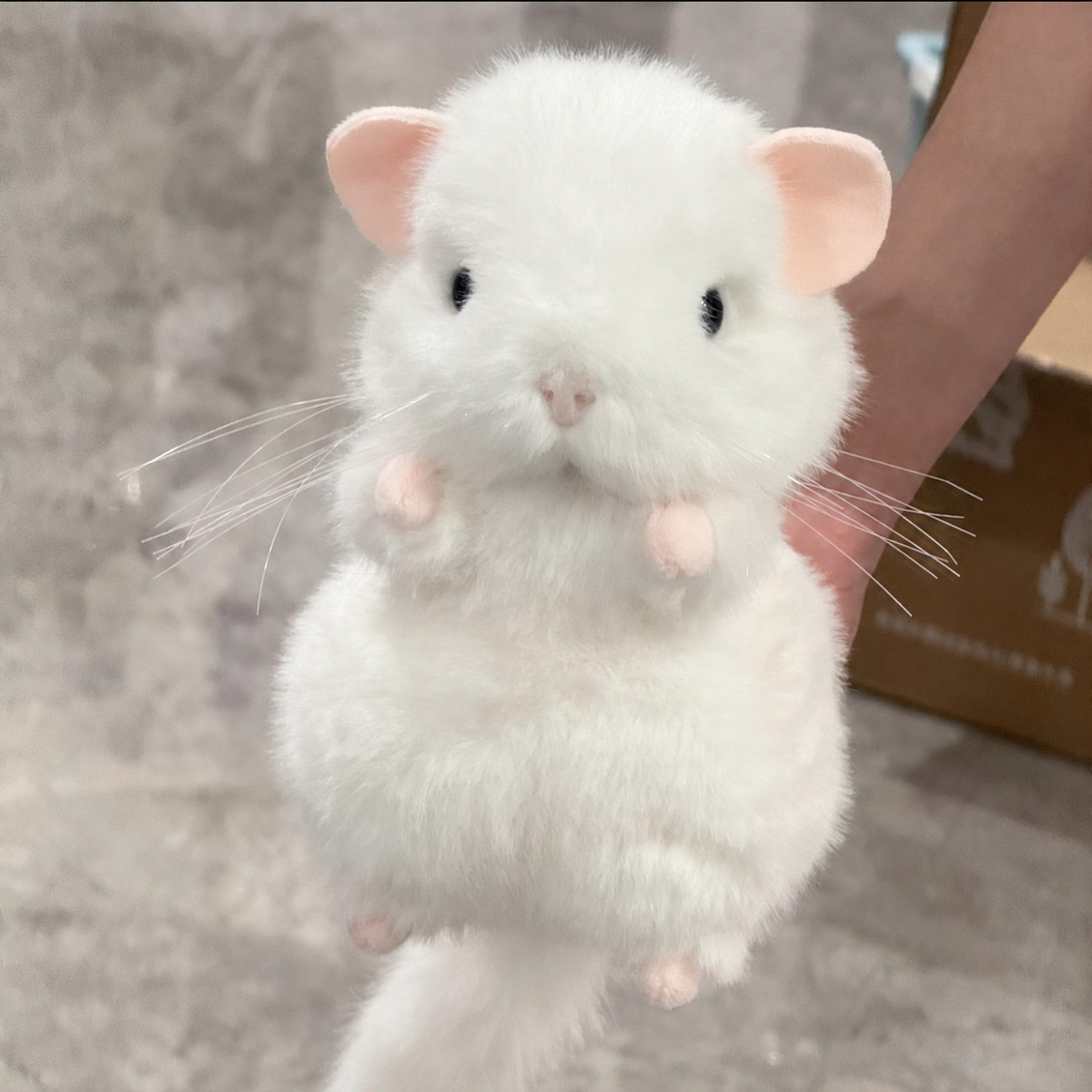 Chubby Chinchilla Plushie