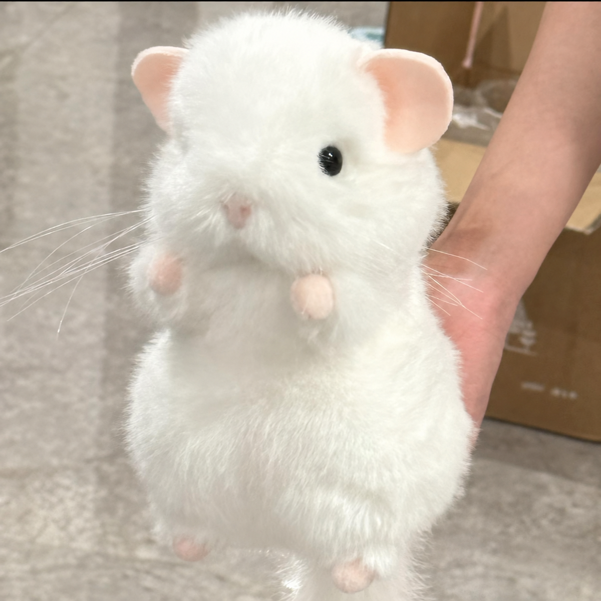 Chubby Chinchilla Plushie