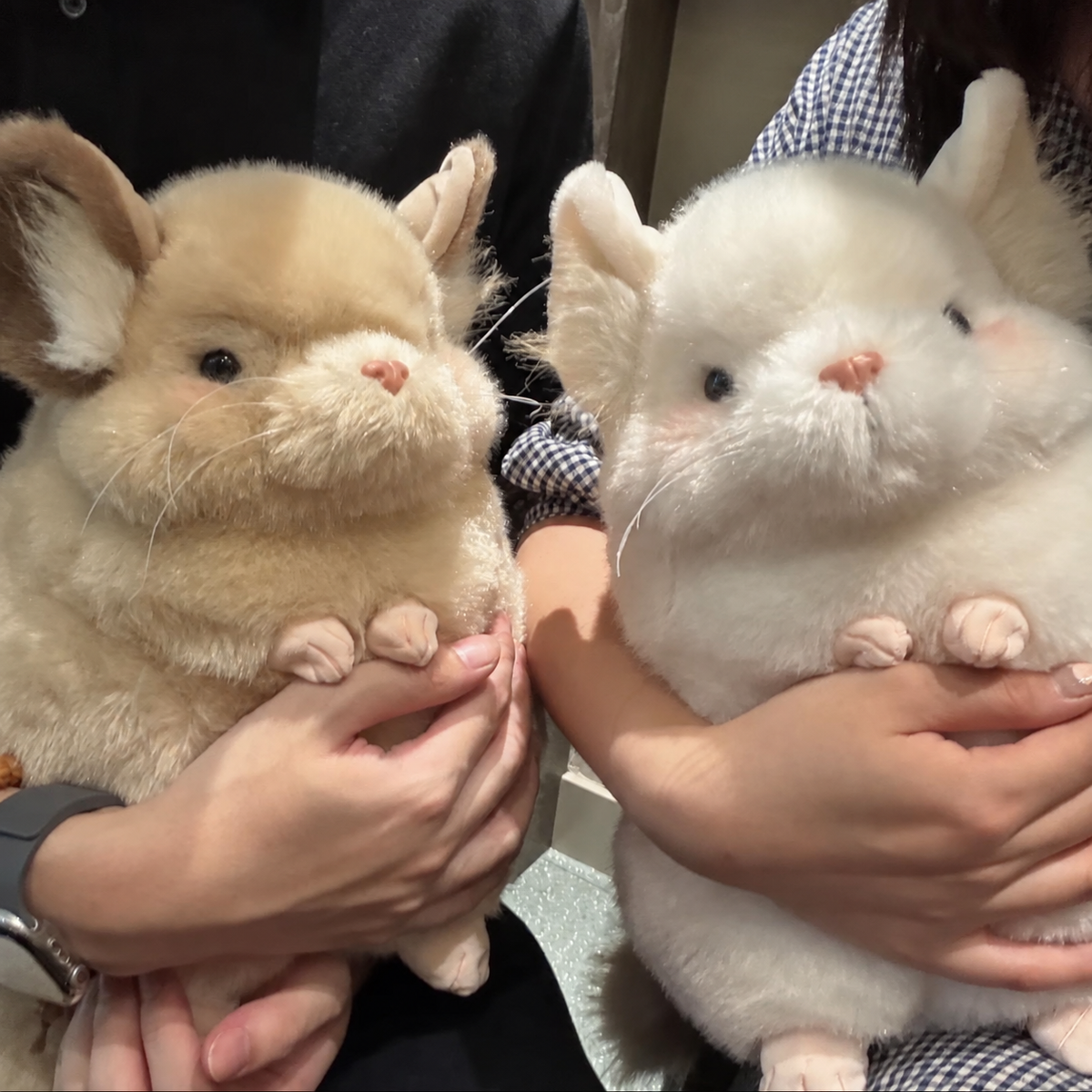Fluffy Chinchilla Plushie