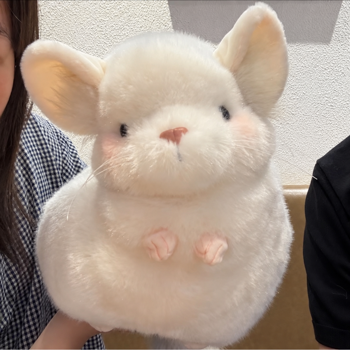Fluffy Chinchilla Plushie
