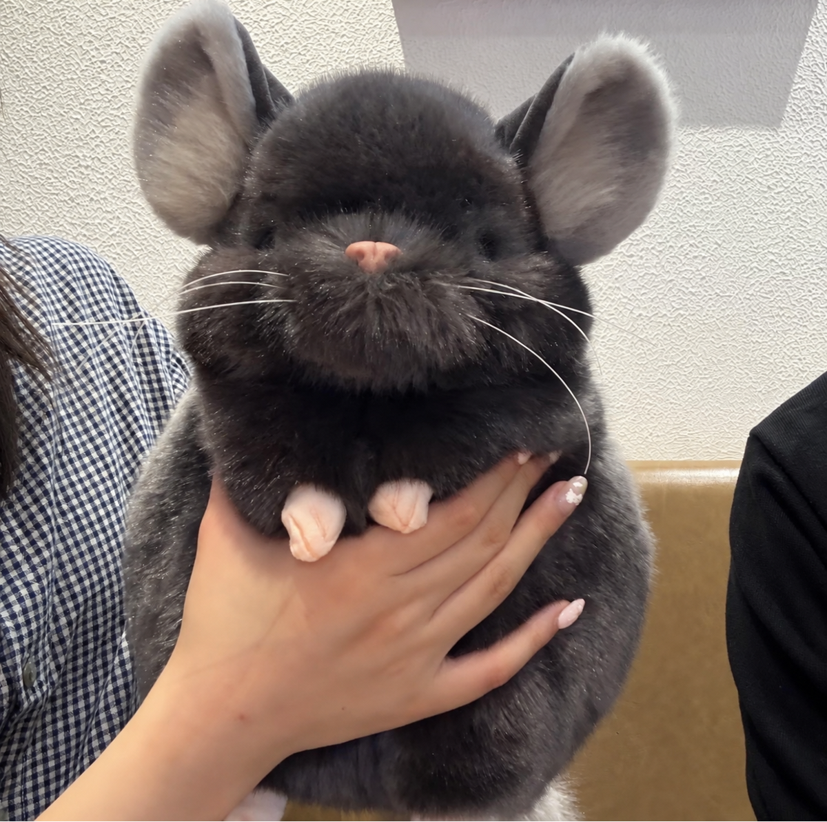 Fluffy Chinchilla Plushie
