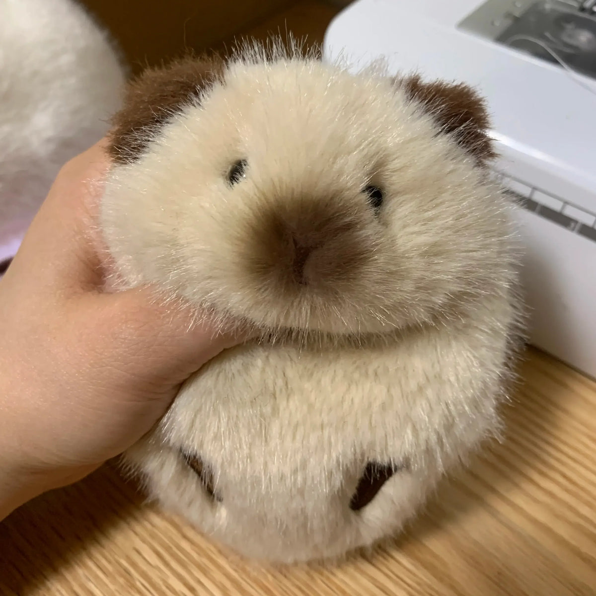 Chubby Guinea Pig Plushie