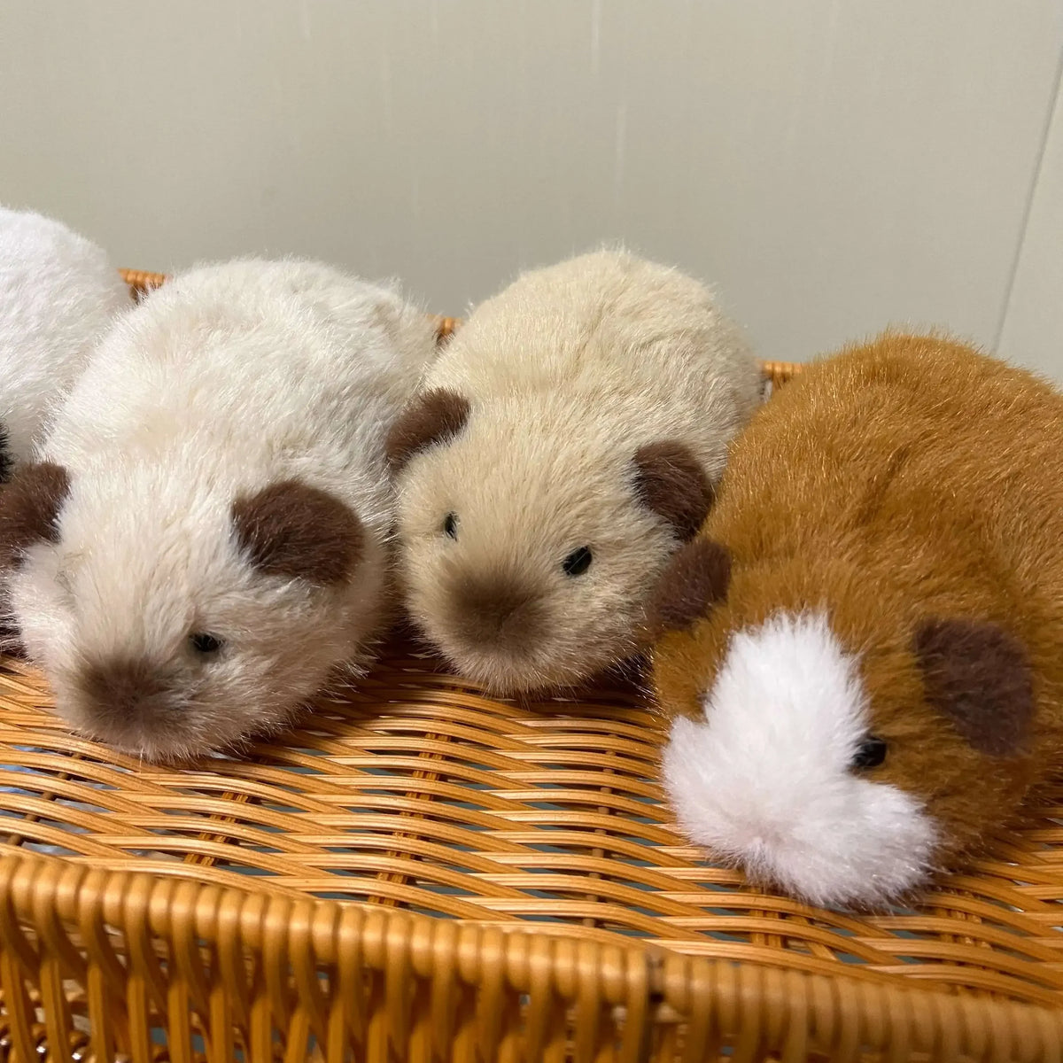 Chubby Guinea Pig Plushie