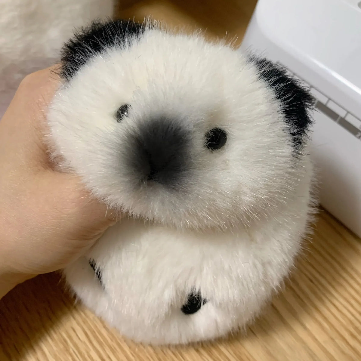 Chubby Guinea Pig Plushie