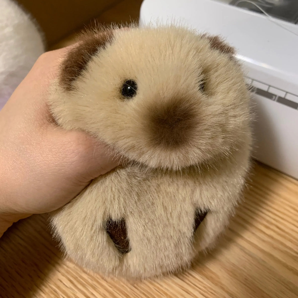 Chubby Guinea Pig Plushie
